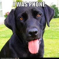 THEN WHO WAS PHONE?