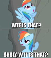 Pony Reactions