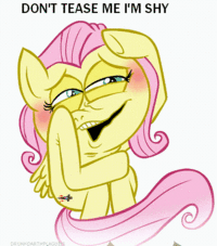 Pony Reactions