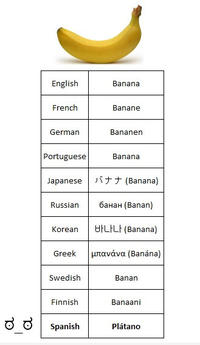 Differenze Linguistiche
