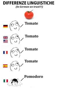Differenze Linguistiche