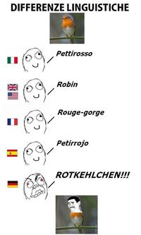 Differenze Linguistiche
