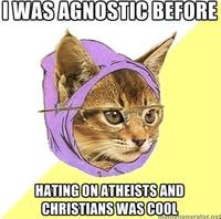 Hipster Kitty