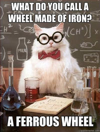 Chemistry Cat
