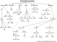 Differenze Linguistiche