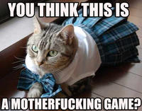Caturday