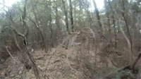 Slender Man