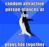 Socially Awkward Penguin