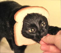 Breading Cats