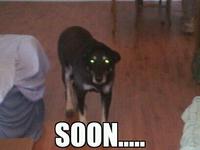 SOON