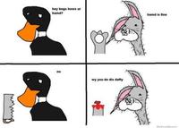 Dolan