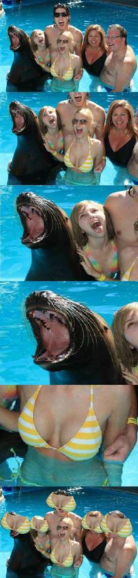 Facebomb