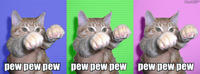Pew Pew