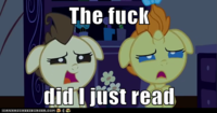 My Little Pony: Friendship is Magic