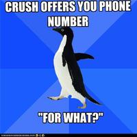 Socially Awkward Penguin