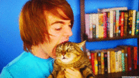 Cats
