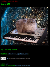 Cat on a Keyboard in Space