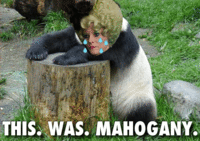 That Is Mahogany