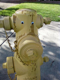 Eyebombing
