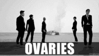 OVARIES