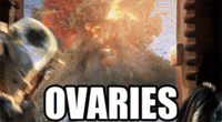 OVARIES