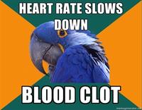 Paranoid Parrot