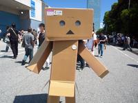 Danbo