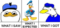 What I Watched / What I Expected / What I Got