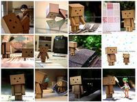 Danbo