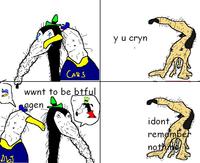 Dolan