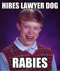 Lawyer Dog