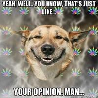 That's just like, your opinion, man