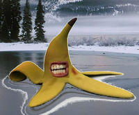 Banana Teeth