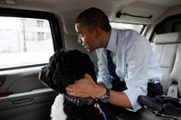 Obama the Eater of Dogs