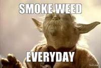 Smoke Weed Everyday