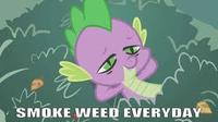 Smoke Weed Everyday