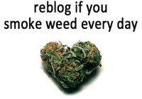Smoke Weed Everyday