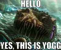 Yes, This is Dog