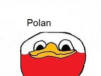 Dolan