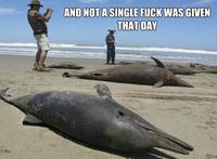 And Not a Single Fuck Was Given That Day