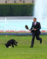 Obama the Eater of Dogs