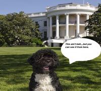 Obama the Eater of Dogs