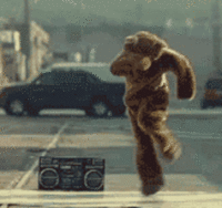 Breakdancing Bear