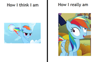What You Think You Look Like vs. What You Actually Look Like