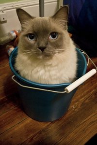 If It Fits I Sits