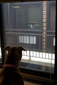 Perfectly Timed Photos