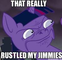 That Really Rustled My Jimmies