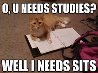 If It Fits I Sits
