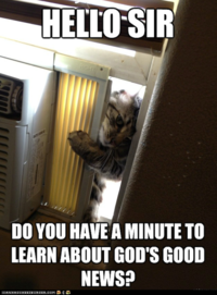 LOLcats