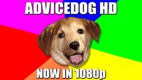 Advice Dog
